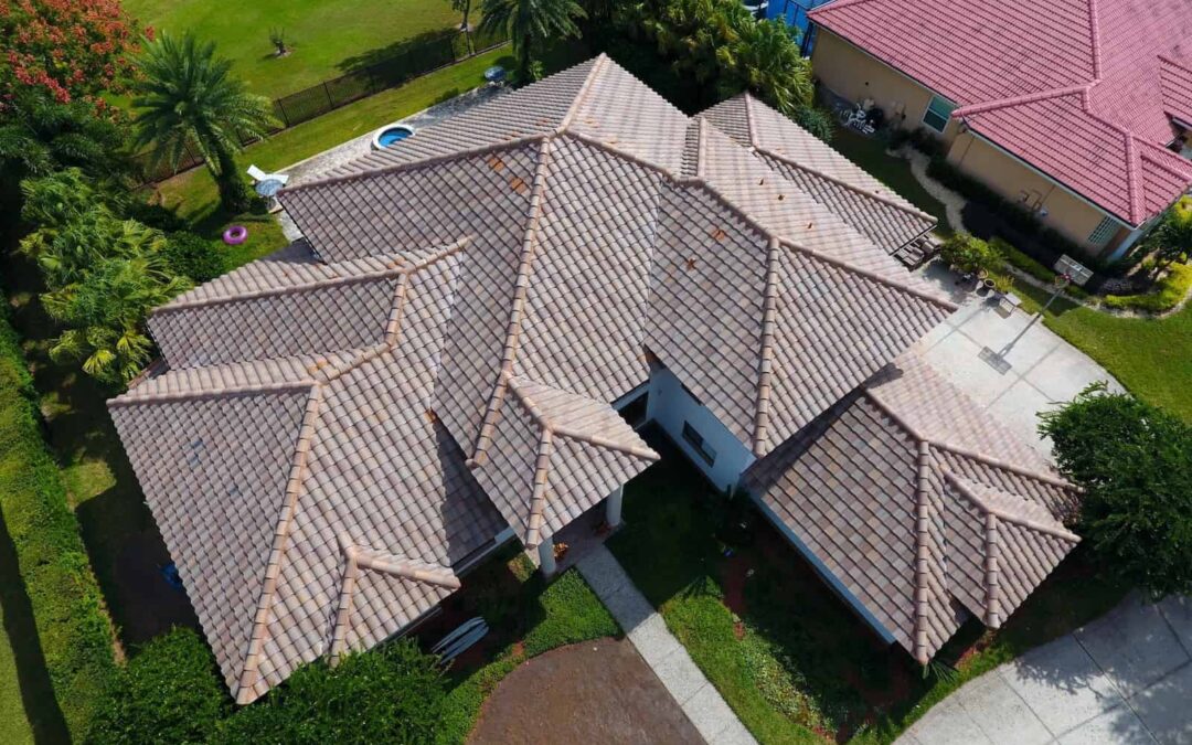 5 Signs of Mold from Roof Leaks